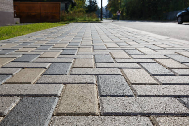 Best Driveway Paving Near Me  in Reed City, MI